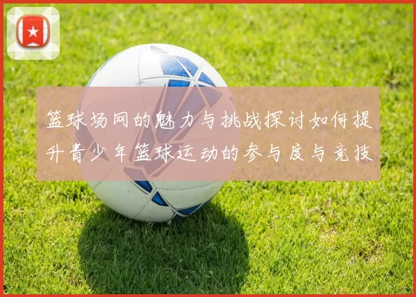 篮球场网的魅力与挑战探讨如何提升青少年篮球运动的参与度与竞技水平
